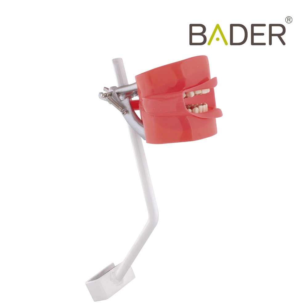 FANTOMA MODELO DE PRACTICA CON ANCLAJE SILLON