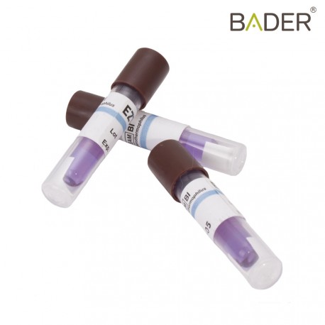 MINI-INCUBADORA + PACK 8 TEST DE ESPORAS