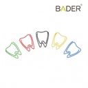 CLIPS MOLARES X50UDS