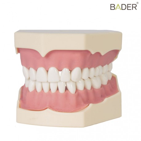 TIPODONTO AG-3 ADULTO + DESTORNILLADOR