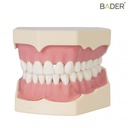 TIPODONTO AG-3 ADULTO + DESTORNILLADOR