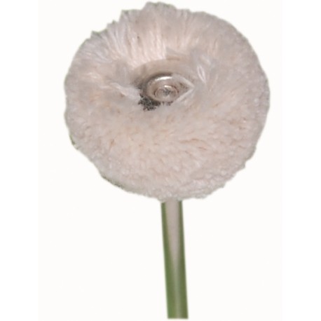 CEPILLO BORREGUITO 22MM. X12UDS.