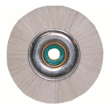 CEPILLO NÚCLEO PLÁSTICO CERDA BLANCA FUERTE 48MM X10UDS.