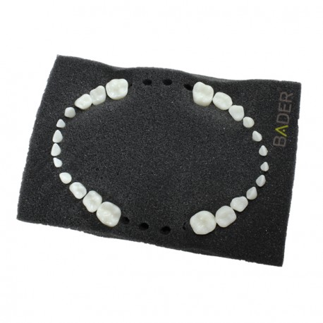 SET 24 DIENTES REPOSICIÓN PARA TIPODONTO NISSIN PEDIÁTRICO