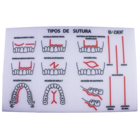 MODELO PARA PRÁCTICA DE SUTURA