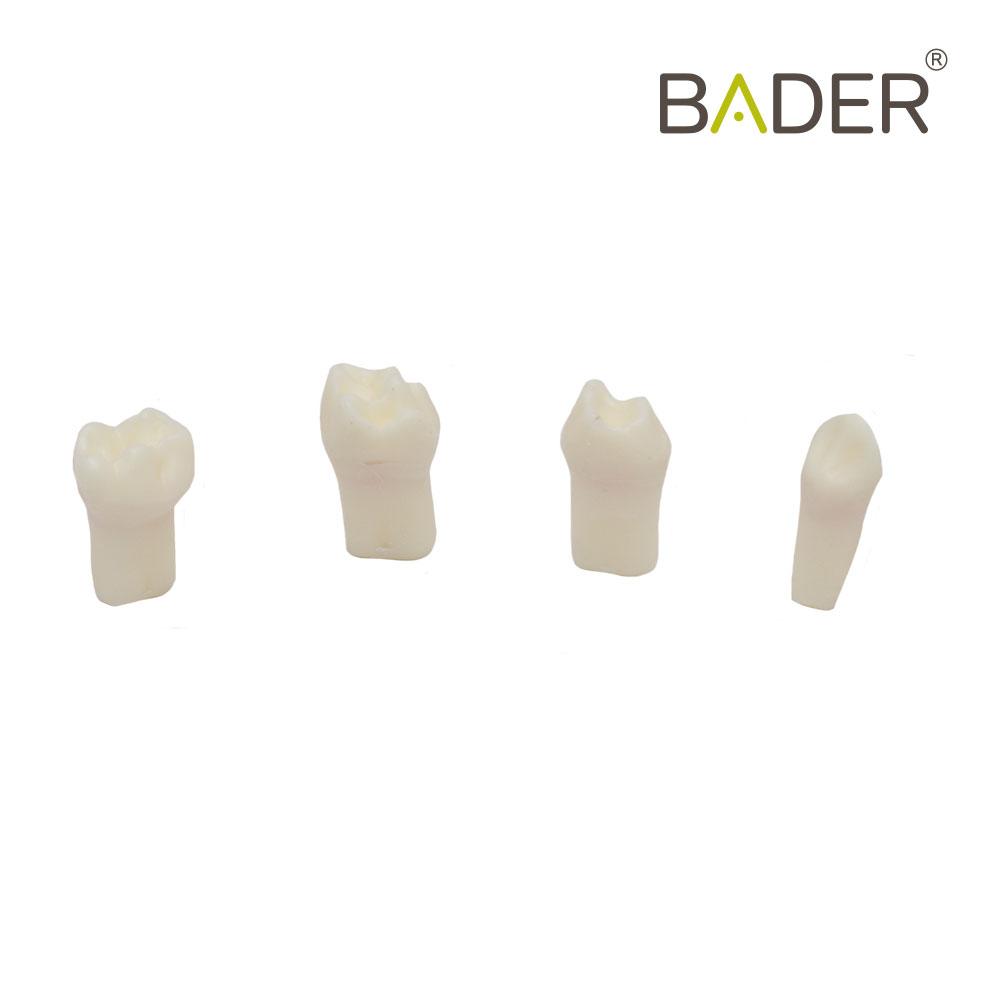  SET DIENTES PARA PULPOTOMIA X4UDS.