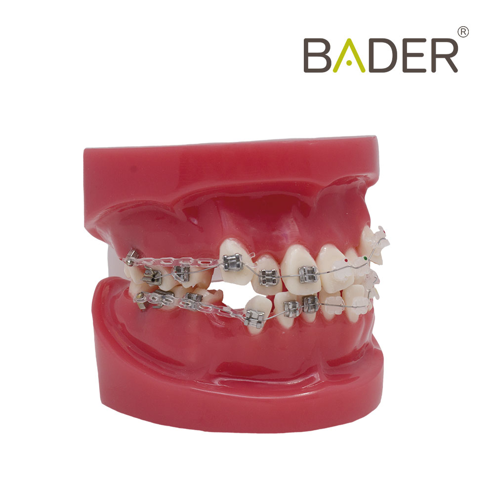 MODELO TO BRACKET METÁLICO Y ZAFIRO