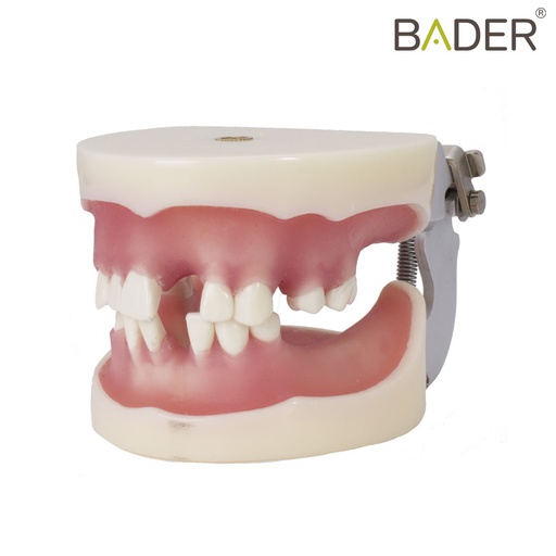 [0905107] TIPODONTO PARA IMPLANTOLOGÍA CON ARTICULADOR