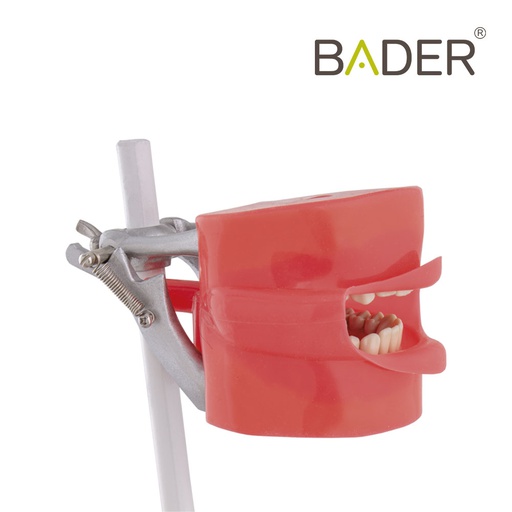 [0904010] FANTOMA MODELO DE PRACTICA CON ANCLAJE SILLÓN